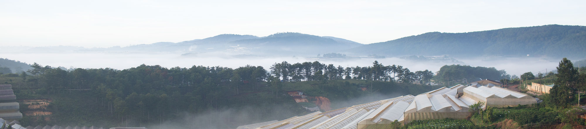 The Nest Dalat Hotel